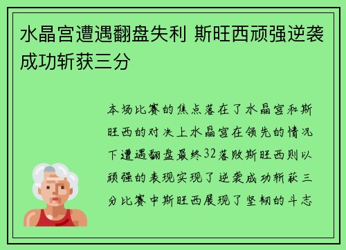 水晶宫遭遇翻盘失利 斯旺西顽强逆袭成功斩获三分