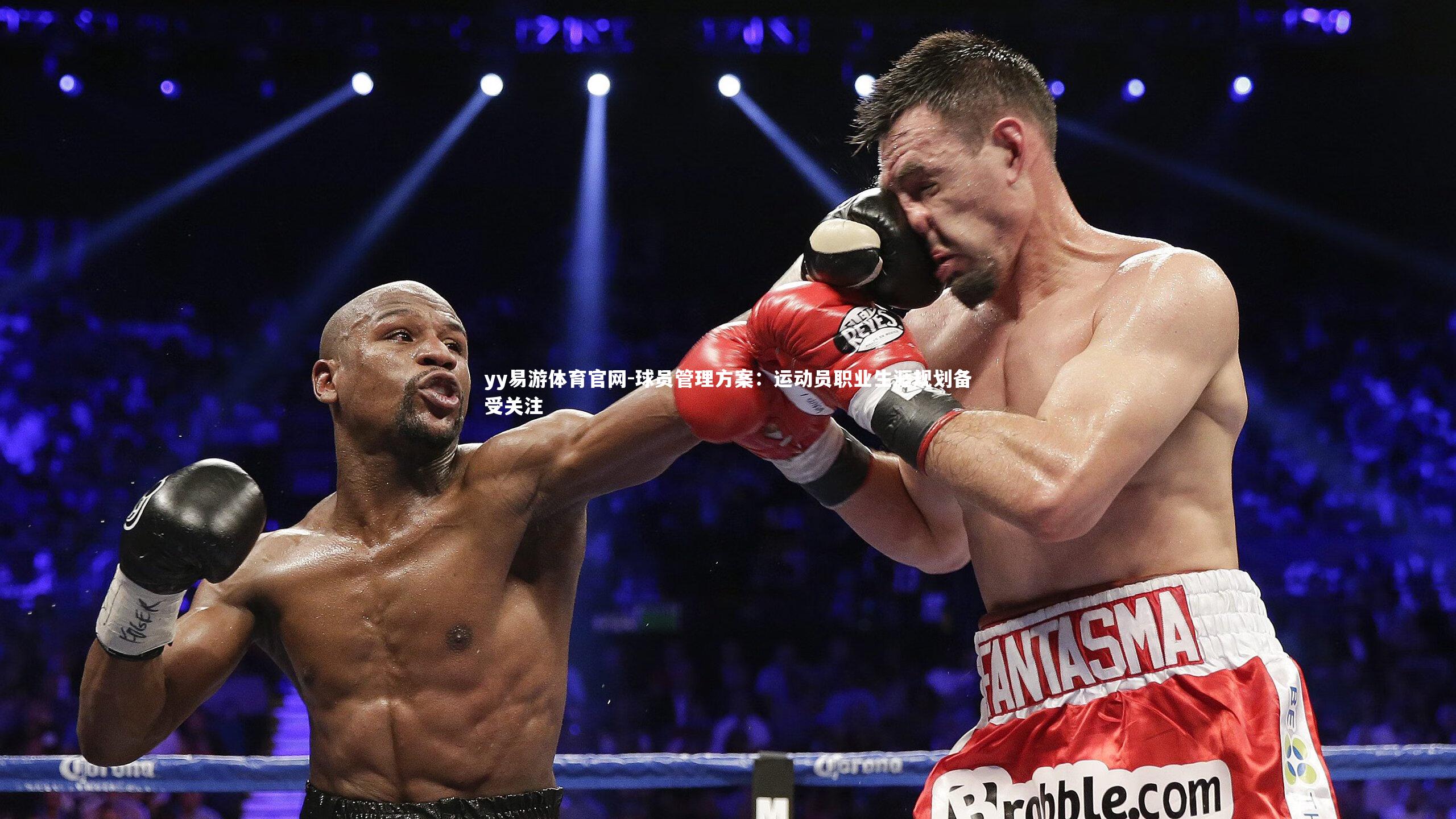 球员管理方案：运动员职业生涯规划备受关注