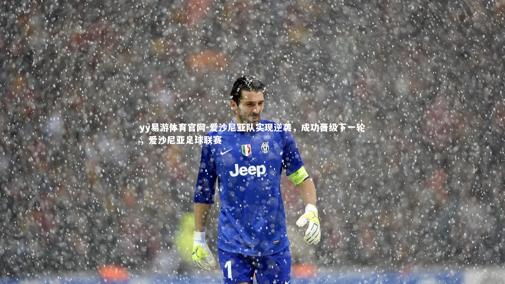 yy易游体育官网-爱沙尼亚队实现逆袭，成功晋级下一轮，爱沙尼亚足球联赛